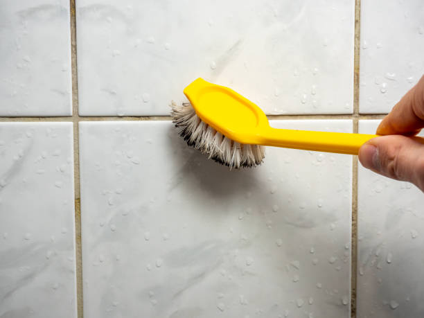 Best Post-Flood Mold Remediation in Home Garden, CA