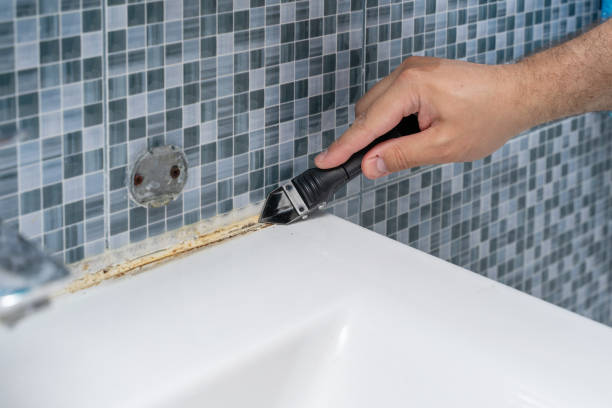 Best Insurance-Related Mold Remediation in Home Garden, CA